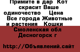 Примите в дар. Кот скрасит Ваше одиночество. › Цена ­ 0 - Все города Животные и растения » Кошки   . Смоленская обл.,Десногорск г.